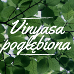 Vinyasa Pogłębiona
